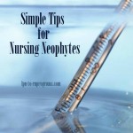 Nursing Neophytes Tips